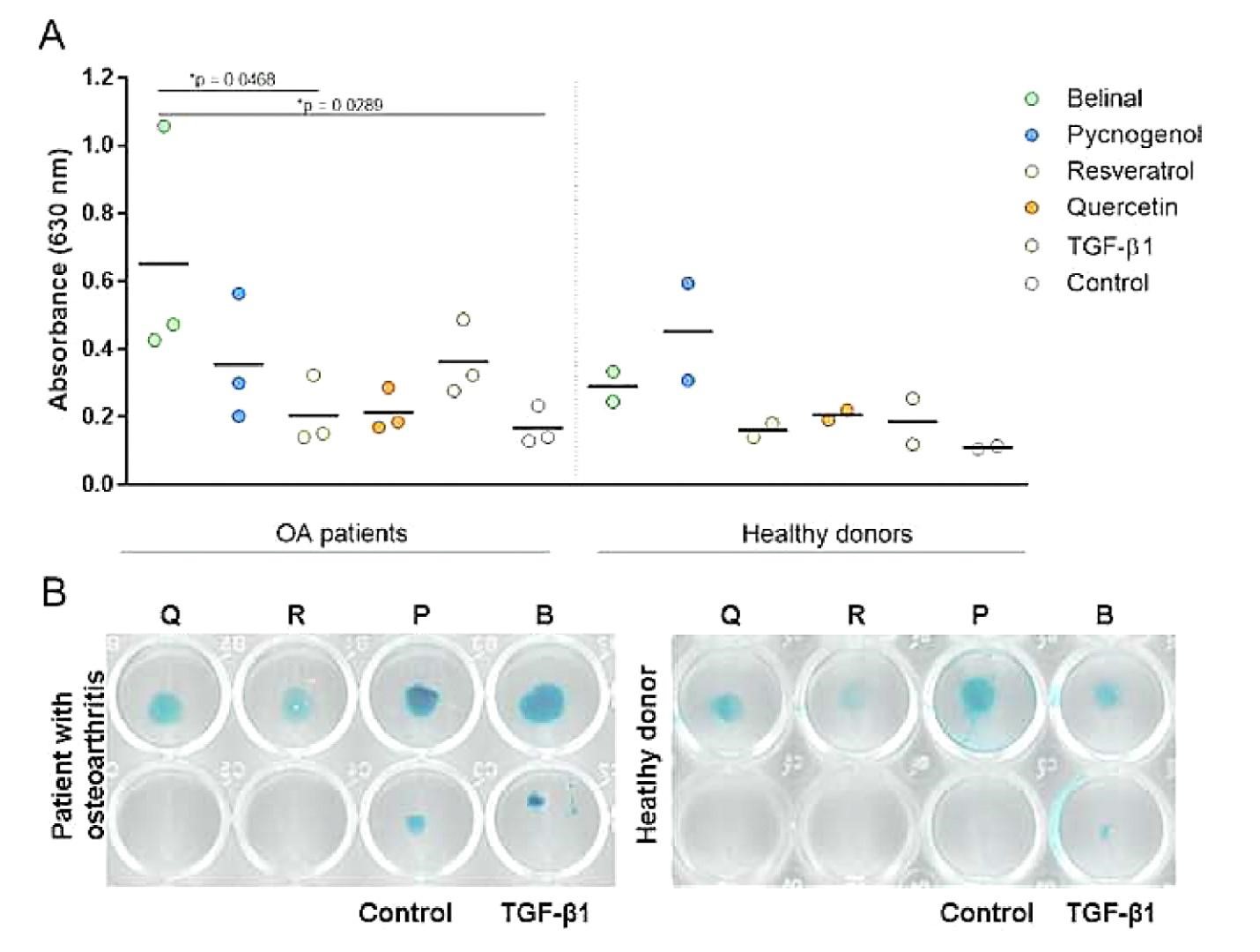 Effects of the Belinal® on Chondrogenesis under non Inflammatory Conditions